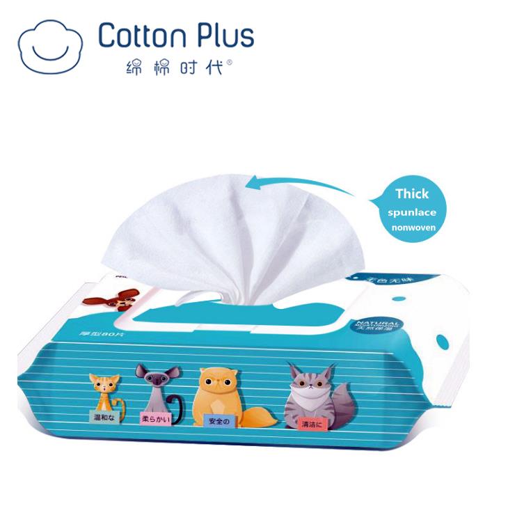 Pet Wet Wipes for Cleaning